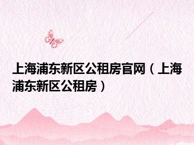 上海浦东新区公租房官网