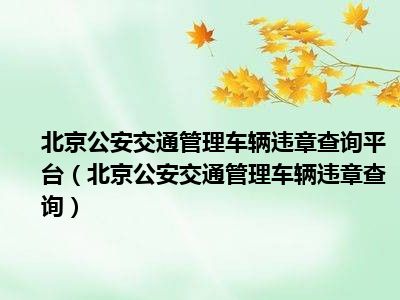 北京公安交通管理车辆违章查询平台