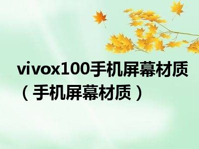 vivox100手机屏幕材质