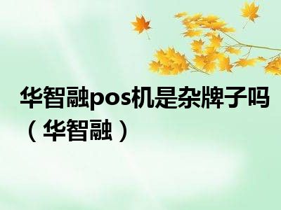 华智融pos机是杂牌子吗