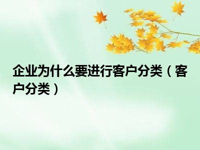 企业为什么要进行客户分类